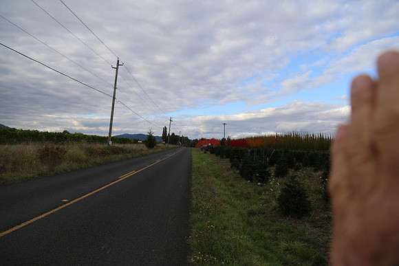 Dilly Rd-1511