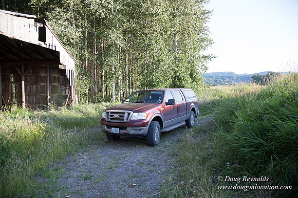 LCG & GWG Tree Farm