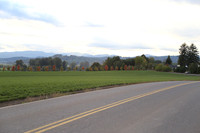 Morres Valley Rd-1679