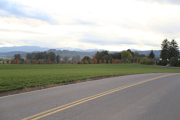 Morres Valley Rd-1679