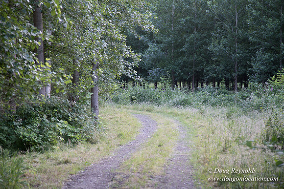 LCG & GWG Tree Farm