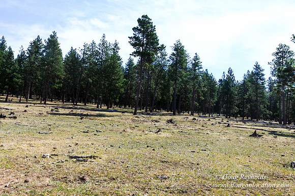 Ranch 18