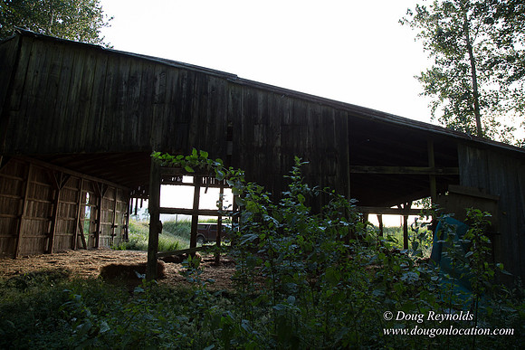 LCG & GWG Tree Farm