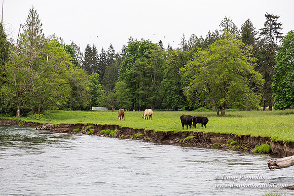 Ranch 21 at River