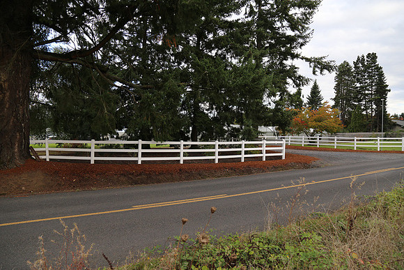 Dilly Rd-1547