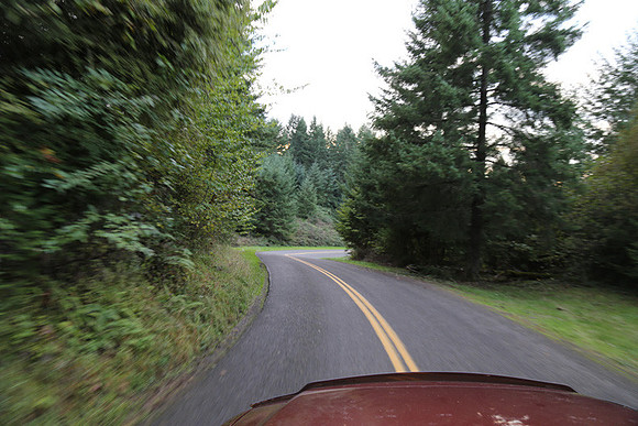 Woodland Ln-1749