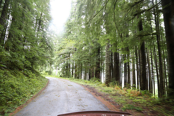 Saddle Mt Rd-0341