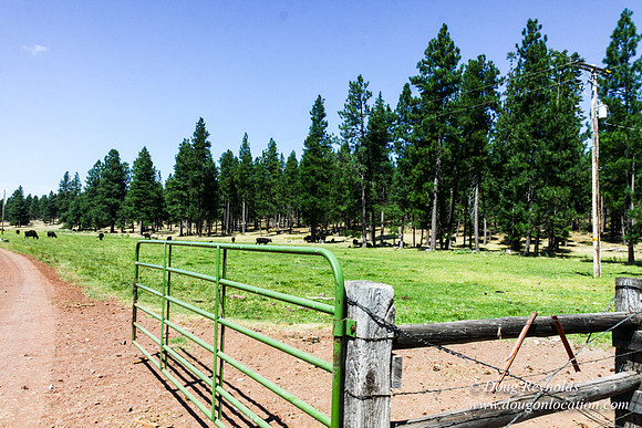 Ranch 18