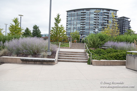 The Fields Park