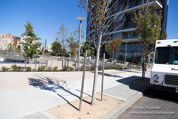 The Fields Neighborhood Park