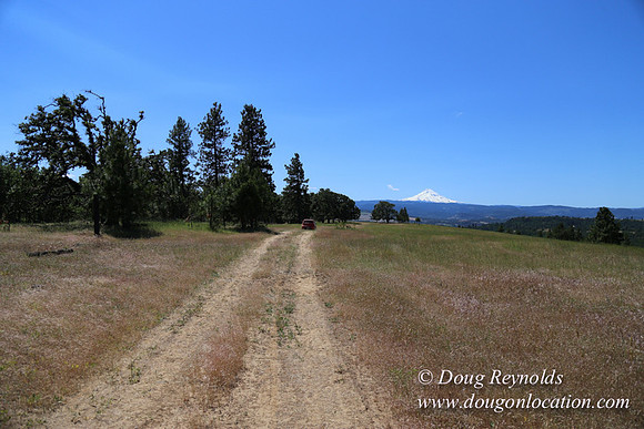 Brothers Ranch-8472