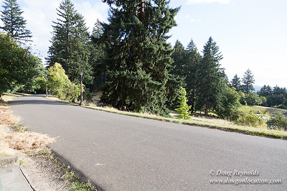 Mt Tabor- View 4 West