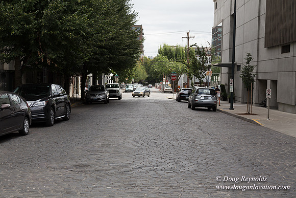 NW 15th & Kearney Cobble