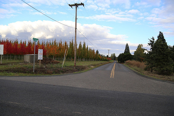 Dilly Rd-1558