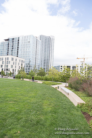 The Fields Park