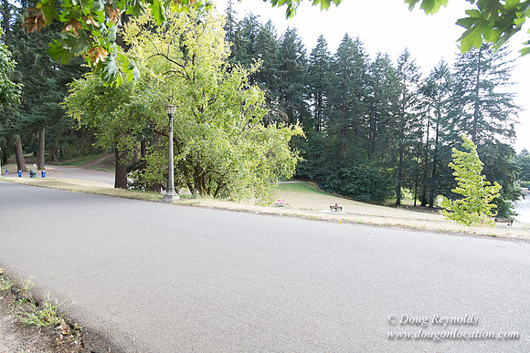 Mt Tabor- View 5 SBT West
