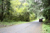 Saddle Mt Rd-0312