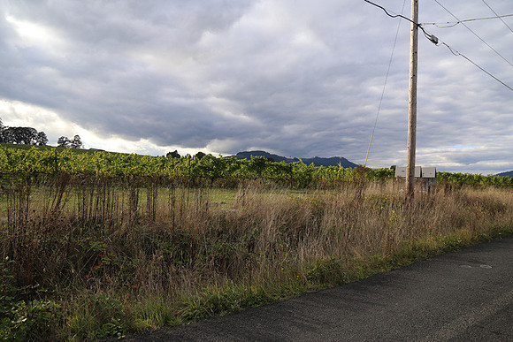 Dilly Rd-1492