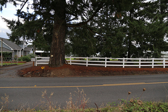 Dilly Rd-1546