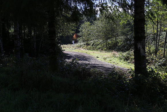 Neahkahnie Cr Rd-0911