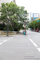 Portland Streets