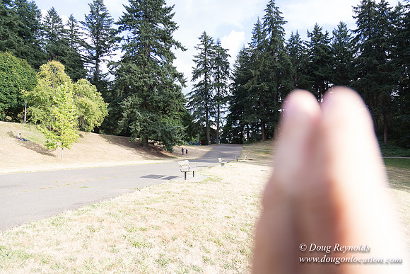 Mt Tabor- View 5 SBT West