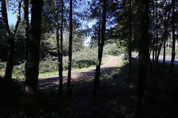 Neahkahnie Cr Rd-0921