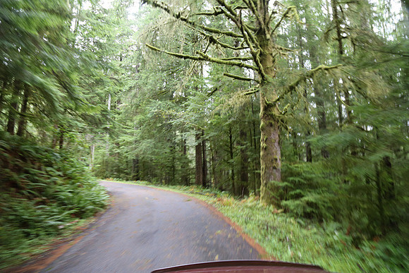 Saddle Mt Rd-0337