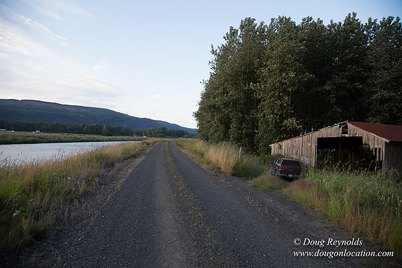 LCG & GWG Tree Farm