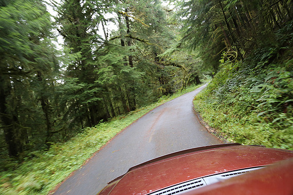Saddle Mt Rd-0331
