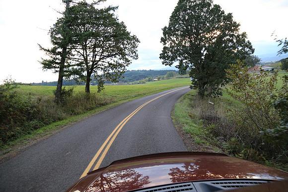 Woodland Ln-1775