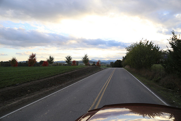 Morres Valley Rd-1695