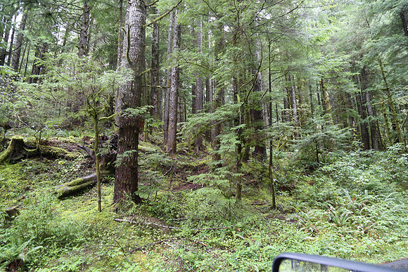 Saddle Mt Rd-0347