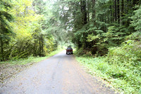 Saddle Mt Rd-0300