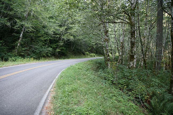 Nestucca Rvr Rd