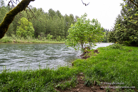 Ranch 21 at River