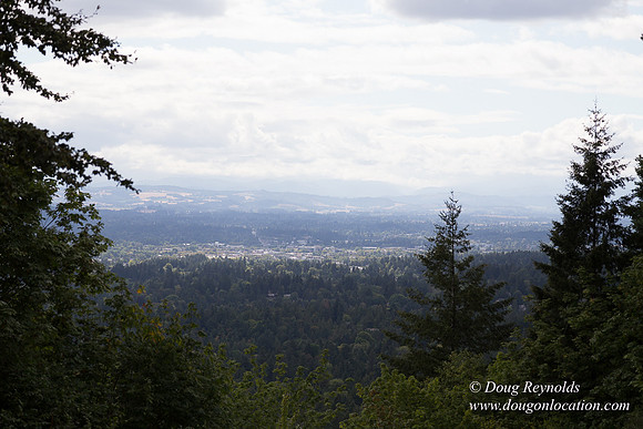 Council Crest Park View