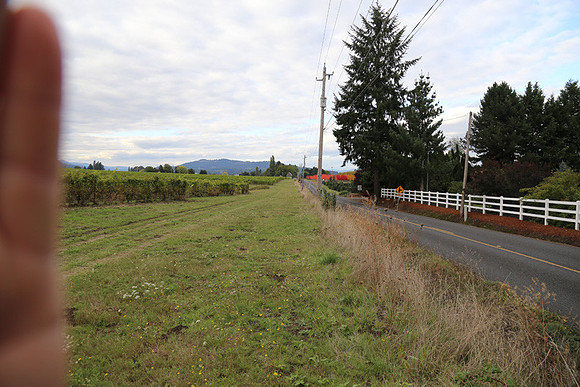 Dilly Rd-1542