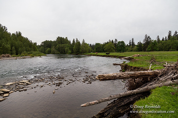 Ranch 21 at River