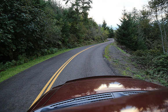 Woodland Ln-1768