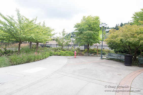 Portland Streets