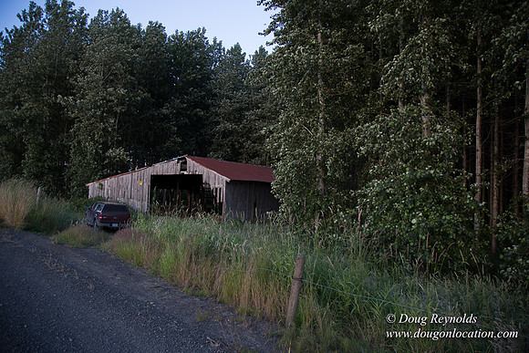 LCG & GWG Tree Farm