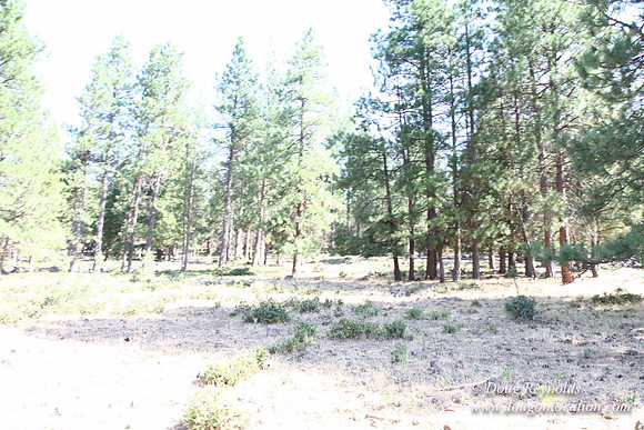 Ranch 18