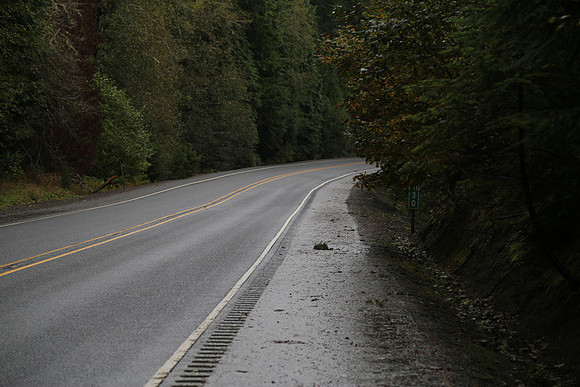 Shields Rd-0139