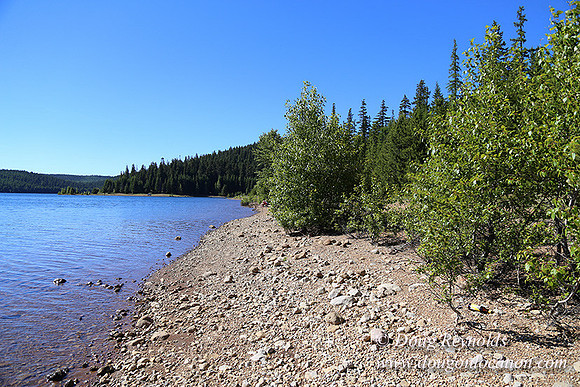 Clear Lake-3468