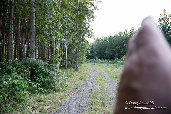 LCG & GWG Tree Farm
