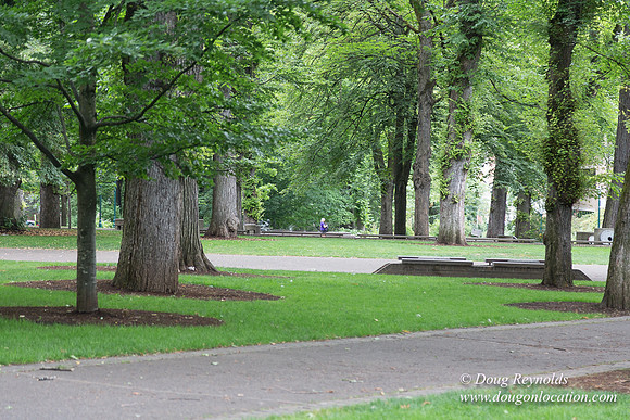 Portland Streets