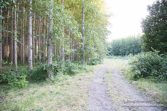 LCG & GWG Tree Farm