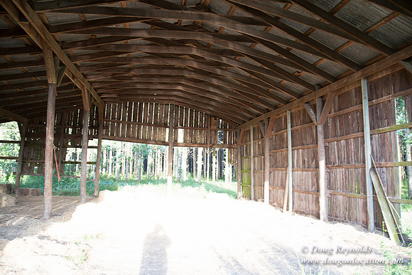 LCG & GWG Tree Farm
