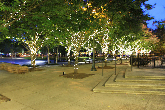 Jamason Park-6567